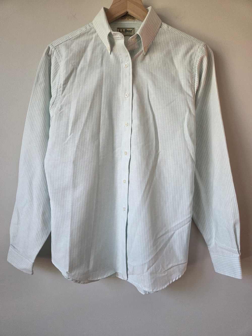 Vintage L.L. Bean Mint Green Stripe Button Down Shirt Womens Size 14